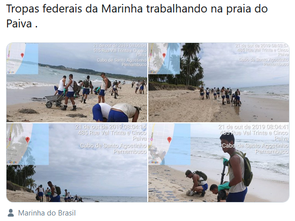 mbc_pe's tweet photo. Na sua reportagem de hoje, a jornalista da #Globo, #BiancaCarvalho, no jornal #Netv2, informa que não encontrou nas praias equipes do Governo Federal atuando na retirada do petróleo.

Mas nós aqui, através do #Twitter, encontramos as equipes!🇧🇷

#Recife #Pernambuco @globonordeste https://t.co/S4ePjmuBy0