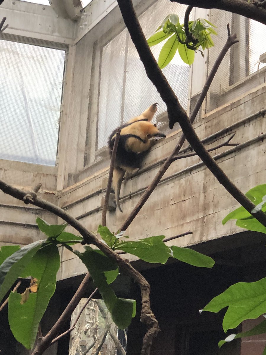 Lauren McGough tweet media