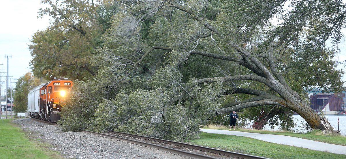 The mighty wind blew this tree over on the banks of the Mississippi River, onto the SFBN tracks, causing a train to have to wait until it's removed along River Drive on the Bettendorf / Davenport border. #windy <a href="/qctimes/">Quad-City Times</a> <a href="/qctnews/">QCT News</a> <a href="/Dispatch_Argus/">Dispatch/Argus</a>
