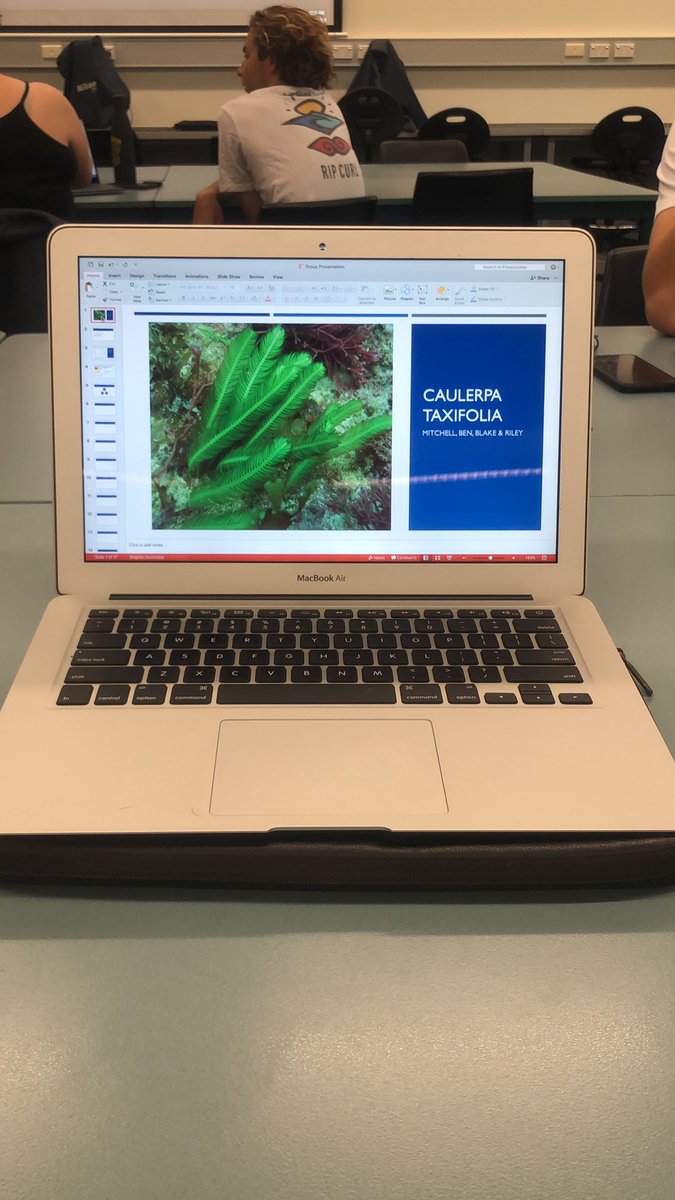 Riley Foott tweet media