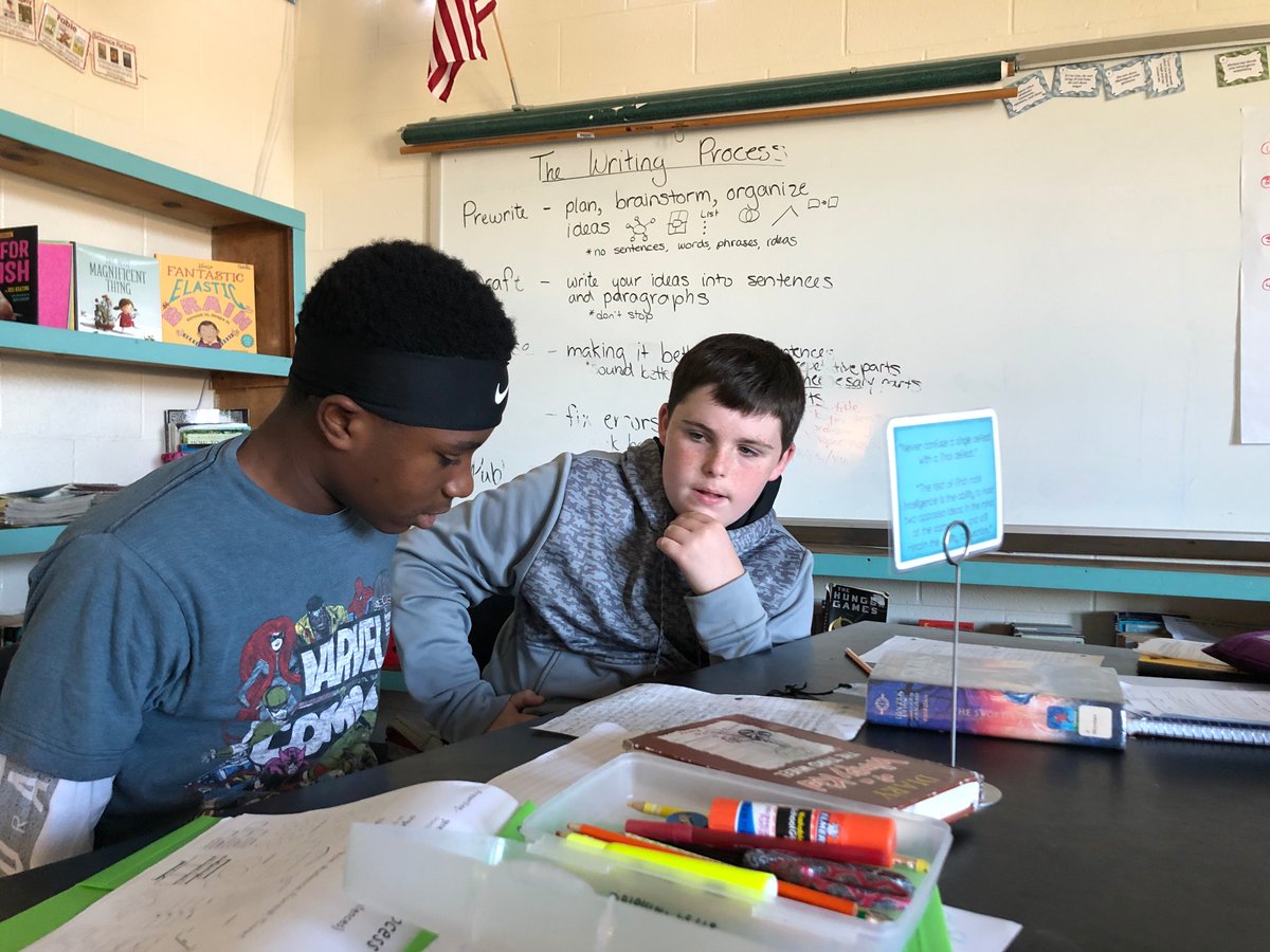 Peer Writing Conferences!