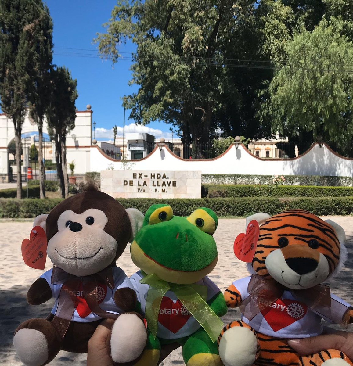 RotarySjr's tweet photo. #Cristy #Tito y #Luca continúan buscando más amiguitos para acabar con la #polio #Ahora fueron a la #GranjaSedena #Rotary #ElZooDelAMOR #RotarySJR #EndPolio #EndPolioNow
@rotary #SEDENA https://t.co/RNNRJK7LDC