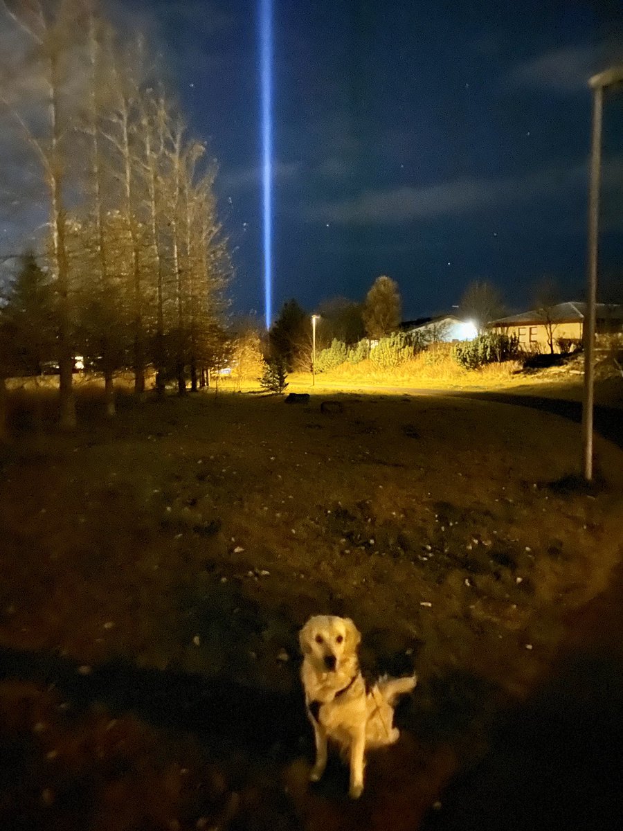 A man's best friend ❤️
#ImaginePeaceTower
<a href="/yokoono/">Yoko Ono</a>