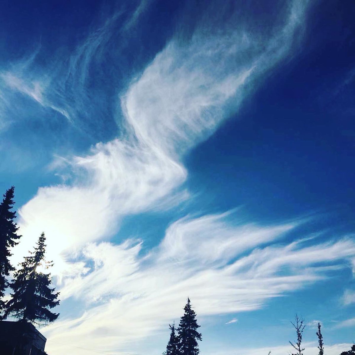 canada_tea's tweet photo. Love is a kind of chance encounter, and one can neither waiting nor preparing for it.
桃李春风一杯茶，金秋夜雨十年灯。#tea #teainstitute #canadateainstitute #picture #茶 #茶藝 #茶道 #茶文化 #lifestyle #Jasmintea #teaart #drinktea #teatime #Food #hightea #afternoontea #teatime https://t.co/C3Jx2ABvLC
