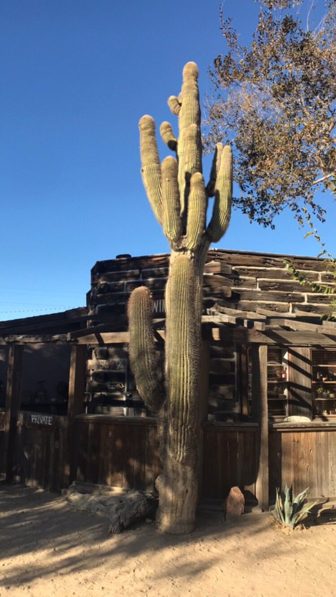 hdguy2012's tweet image. 