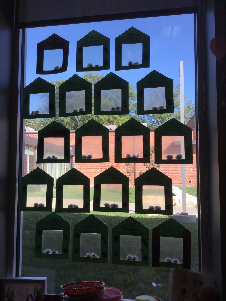 NicoleCornEDU's tweet photo. Our window greenhouses are a huge success! Our plants are growing tall! #iteachk #kindergartenrocks #AllStudentsOneTeam #497Eagles https://t.co/Rv7nn0gDe9