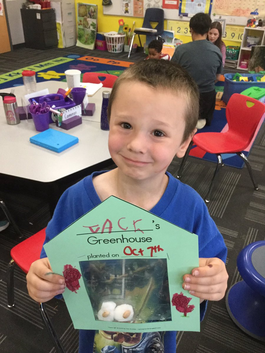 NicoleCornEDU's tweet photo. Our window greenhouses are a huge success! Our plants are growing tall! #iteachk #kindergartenrocks #AllStudentsOneTeam #497Eagles https://t.co/Rv7nn0gDe9