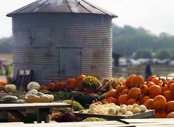 VisitIndiana's tweet photo. The harvest is in, Fall Festivals are in full swing and the leaves are changing. We are LovIN' Fall in Indiana!
Check out our Indiana Fall Fun Guide!
Read More: https://t.co/qDVkpbJm2D
#visitindiana #LovINFall https://t.co/0oIHaoVTR7
