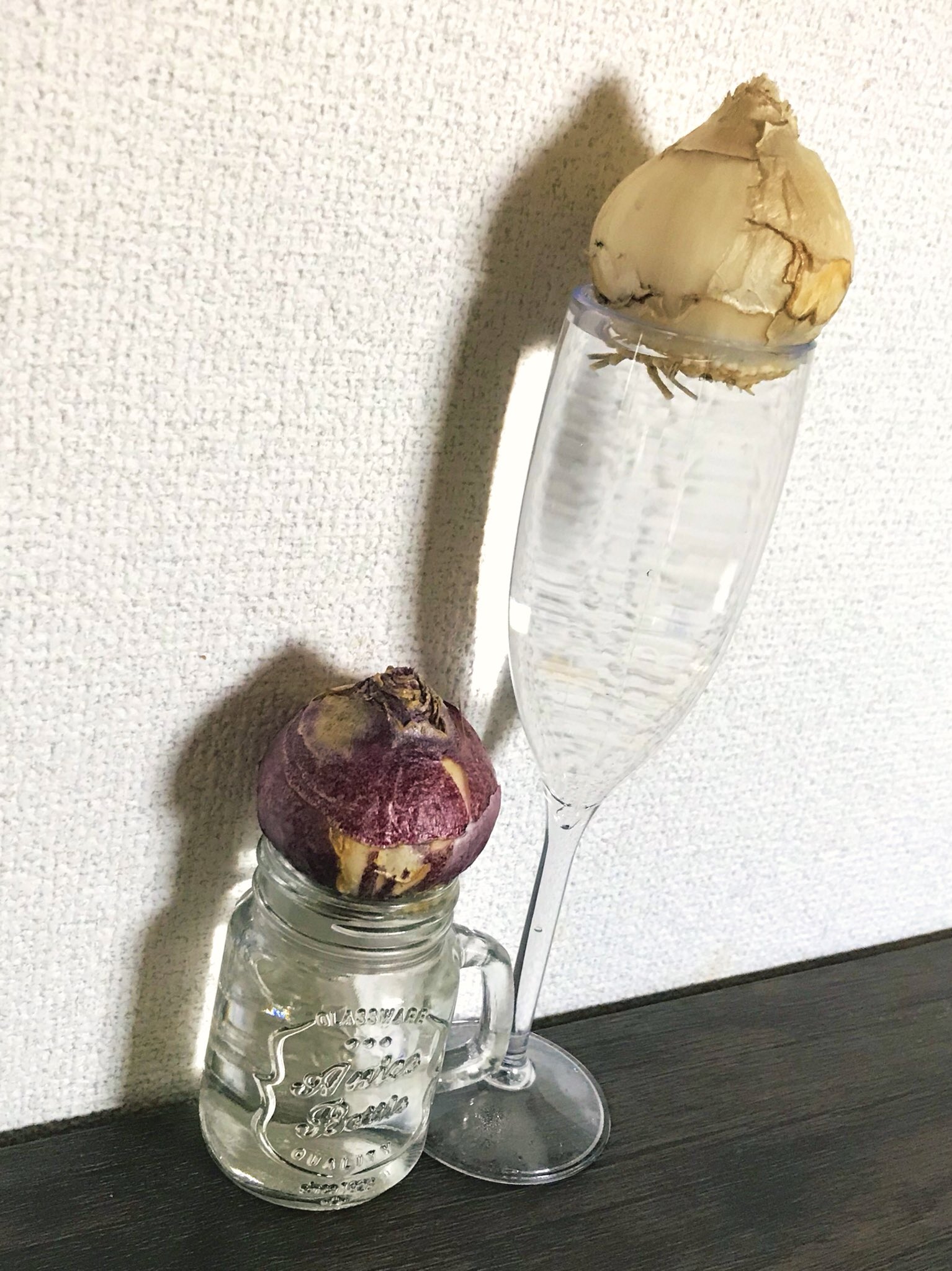 さんなすび 1周年のお祝いにもらった水栽培のヒヤシンスをやっとセットしました 容器は100均のプラスチックのワイングラスと瓶です お花が咲くようにしっかりお世話がんばる O O T Co Jz9wkcqzlf Twitter