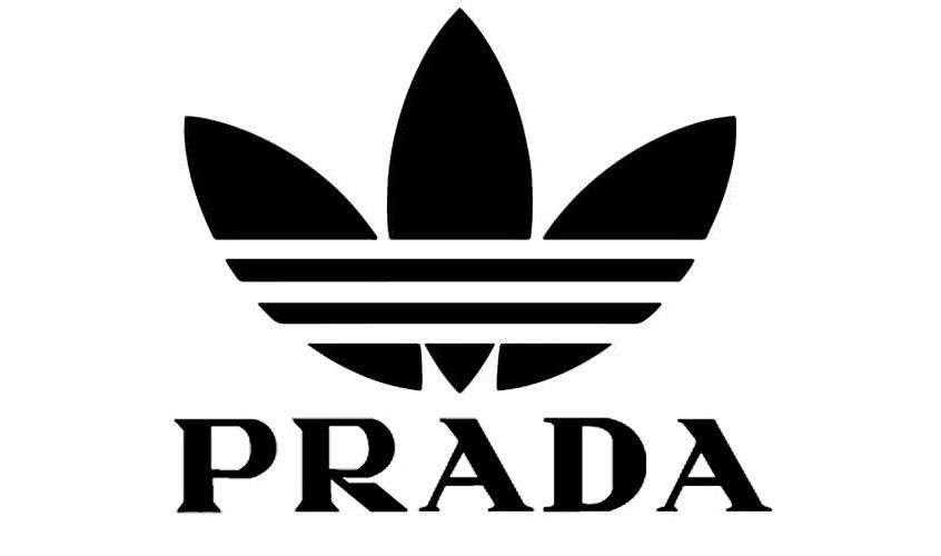 adidas prada sailing shoe