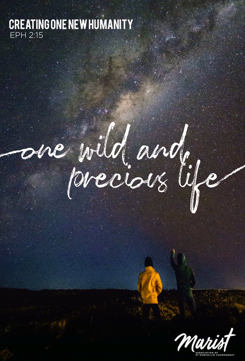 Marist Association tweet media