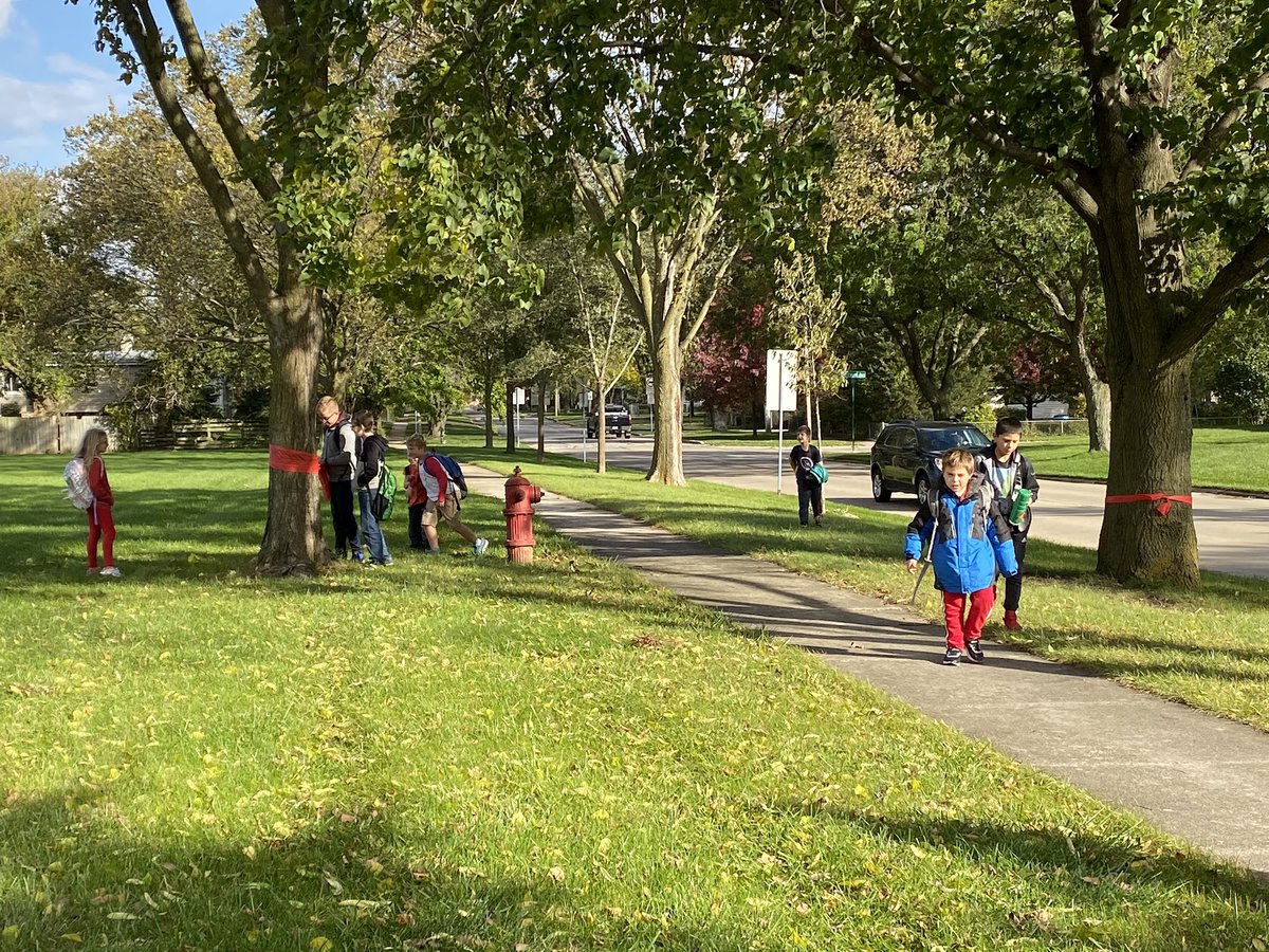 Showing support for Red Ribbon Week by attaching ribbons to the trees around our school ❤️ <a href="/D45Schafer/">Schafer School</a> #RedRibbonWeek #d45learn4life