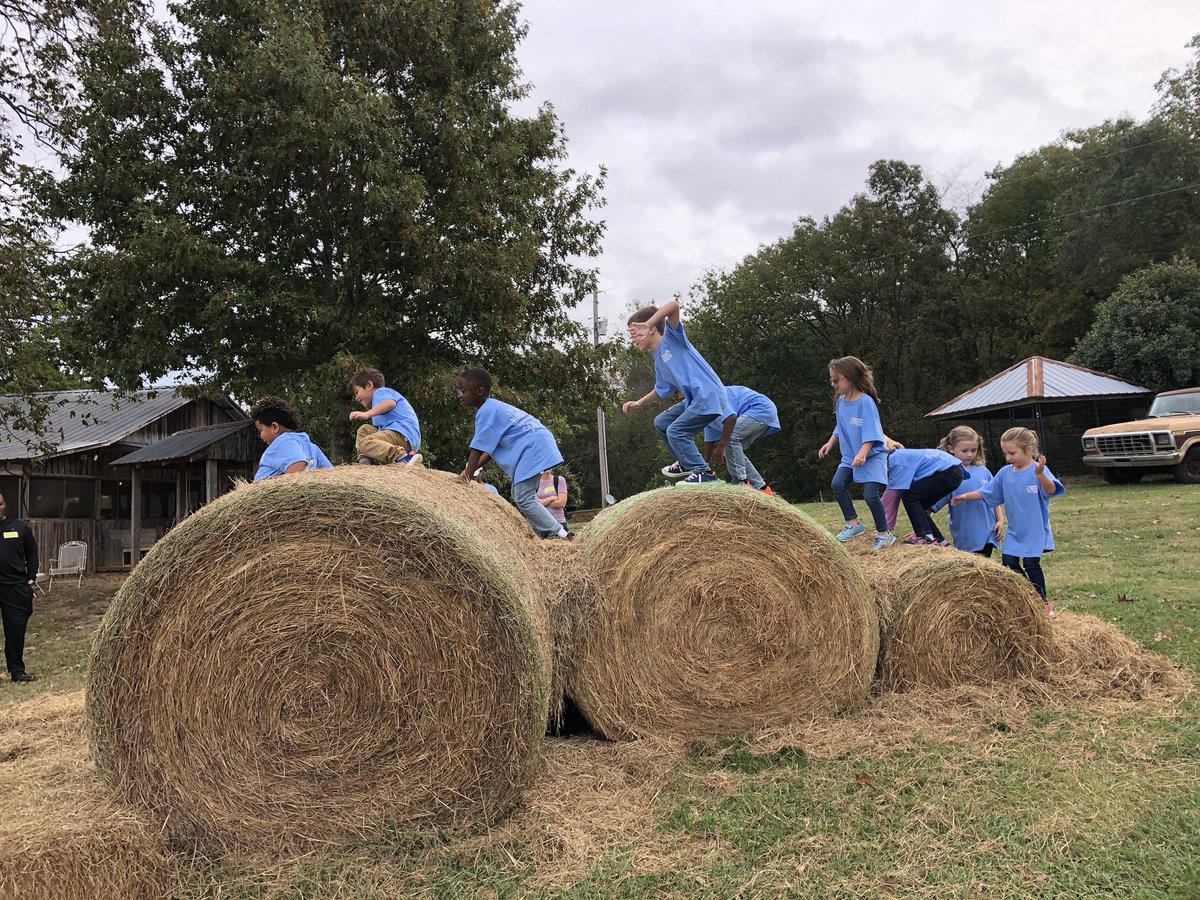LAHester04's tweet photo. Kindergarten had a great day on the farm! #columbiaeschool https://t.co/dZSFDcjNjl