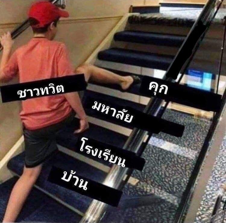 reset tweet media
