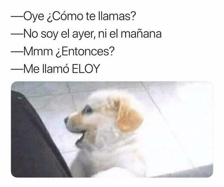 stylokninothais's tweet photo. No ELAYER ni ELMAÑANA es ELOY

Like y comenta si entendiste 🤣  #amorperruno #lovepets #doggy #lover #petsloversclub #pets https://t.co/1f8RdJ1PGO