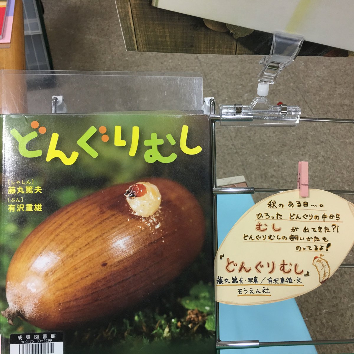 山武市立図書館 V Twitter 成東図書館 今日の一冊 秋のある日 ひろった どんぐりの中から むしが出てきた どんぐり虫の飼い方ものってるよ どんぐりむし 藤丸篤夫 写真 有沢重雄 文 そうえん社 なるト 今日の一冊 山武市 図書館 山武市立図書館 V Twitter 成東図書館 今日の一冊 秋のある日 ひろった どんぐりの中から むしが出てきた どんぐり虫の飼い方ものってるよ どんぐりむし 藤丸篤夫 写真 有沢重雄 文 そうえん社 なるト 今日の一冊 山武市 図書館