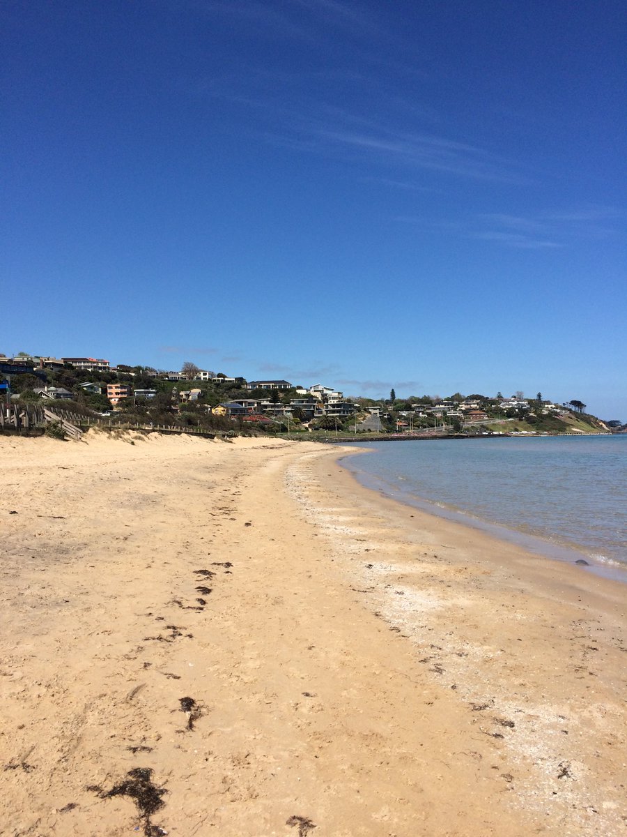 AnnetteBoaz's tweet image. Acclimatising ahead of ⁦@MonashQProject⁩ round table meeting tomorrow in Melbourne. We are aiming to shift the debate from quality evidence production to quality evidence use #transformURE