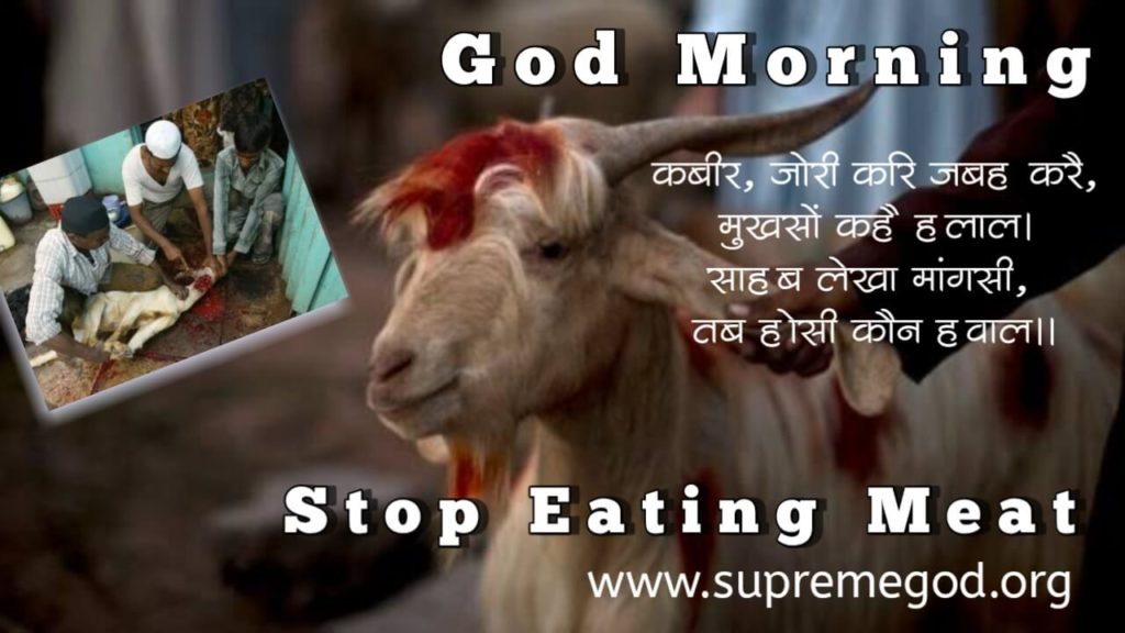 Pirudas14's tweet photo. #GodMorningTuesday parmatma ki mans khane wale narak jaate Hain 84 akela yoniyo mein badhate hain  adhik jankari ke liye sadhna channel raat se 740:840 Tak https://t.co/noX4HwFo9D