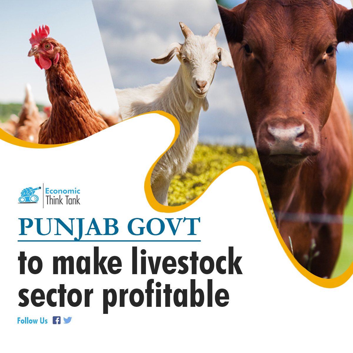 EconomicTTank's tweet photo. Read more; https://t.co/aOkYdMDECj

#LiveStock #PunjabGovt #ProfitLivestock #Economy #EconomicThinkTank https://t.co/AVKRYUesn9