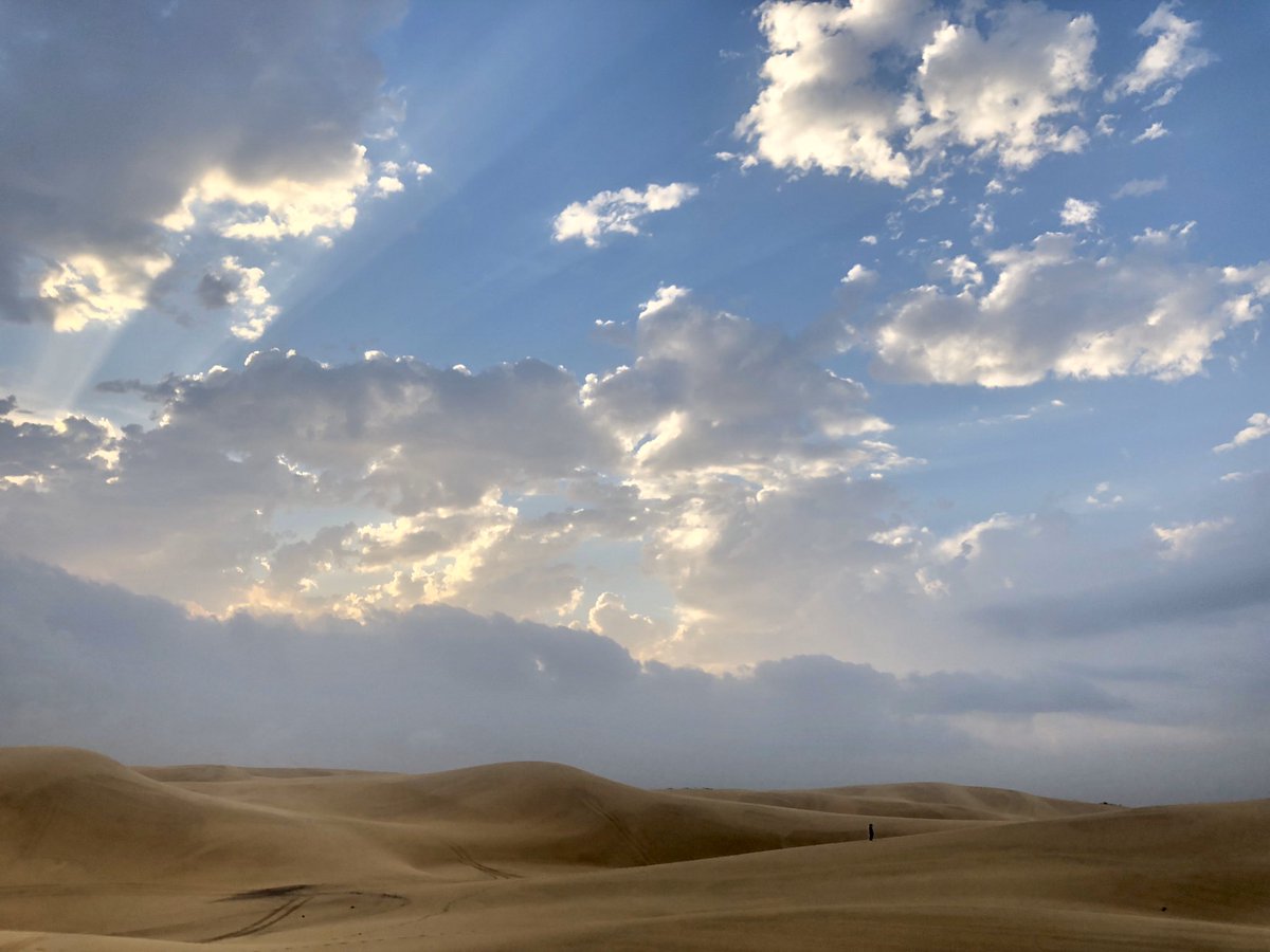 サカナクション カロリーメイト リキッド 新cm 考える液体 篇 テレビcmはもうご覧いただけたでしょうか 電車の中吊り広告の掲載も始まっています とにかく砂漠を歩いて歩いて というcm撮影でした 写真の中のどこにいるかわかりますか カロリー