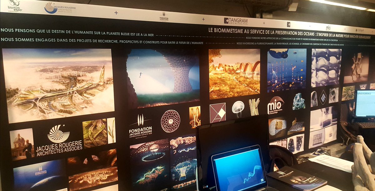 Fondation Jacques Rougerie tweet media