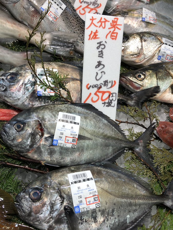 オキアジの特徴 見分け方 写真から探せる魚図鑑
