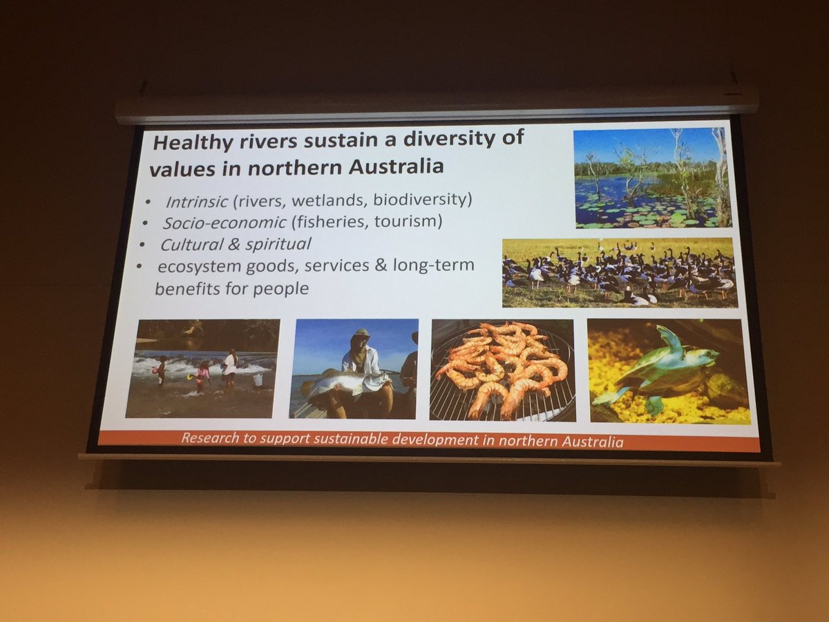 NESP Resilient Landscapes Hub (@nesplandscapes) on Twitter photo Mark Kennard from <a href="/GriffithARI/">Australian Rivers Institute</a> talking about our northern rivers research at <a href="/riversymposium/">International River Symposium</a> Mark Kennard from <a href="/GriffithARI/">Australian Rivers Institute</a> talking about our northern rivers research at <a href="/riversymposium/">International River Symposium</a>
