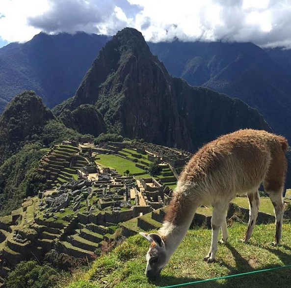 Learn about Holistic Nutrition and Alternative Medicine in the Sacred Valley of the Incas, Peru with <a href="/Lingho_abroad/">Linguistic Horizons</a>
