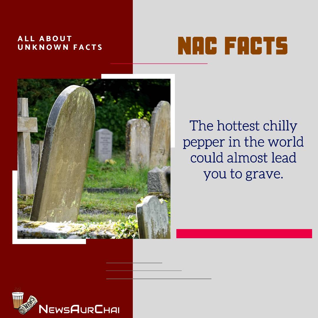 NewsAurChai's tweet photo. #FactualTuesday With #NAC.
---
#Follow to learn More #Facts.
---
#NACFacts #NewsAurChai #NACDay #TuesdayFacts #FactualLife #Knowledge #FactsToKnow #FactPro #FactTo learn #ScientificFacts #Learn #LearnAndGrow #FactsInPictures #LearnWithNAC #KnowledgeToAccquire #AspireToInspire https://t.co/giF9c7JHgb