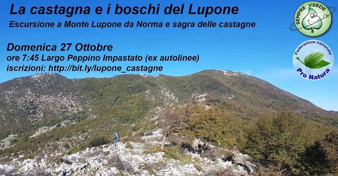 SempreVerdeLT's tweet photo. Domenica 27 Ottobre abbiamo organizzato un'escursione sul Monte Lupone. A seguire vi aspettiamo tutti alla Sagra della Castagna a Norma (LT).
 Info https://t.co/flBa4n6ohD e iscrizioni https://t.co/Fitpdvd9bf #trekking #Autumn @LepiniMagazine @Sei_Colonne https://t.co/lhGIGfnsNq