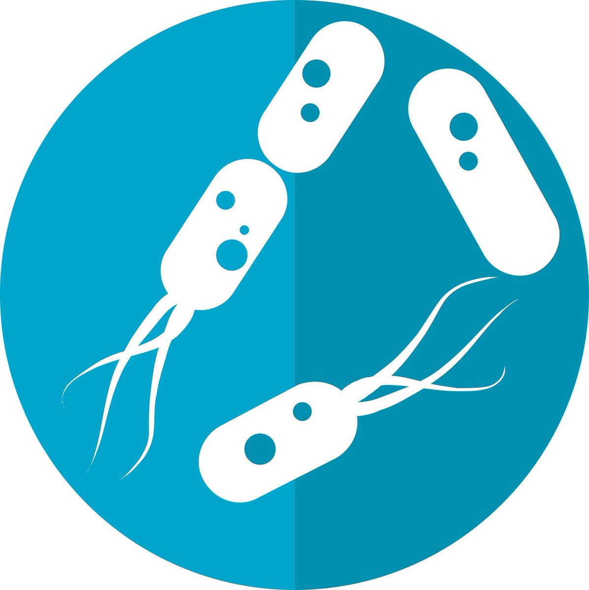 ScienceFuture1's tweet photo. Microbiome: Untapped source of novel antimicrobials https://t.co/ytA40QIwr9 https://t.co/tqK90tzxvO