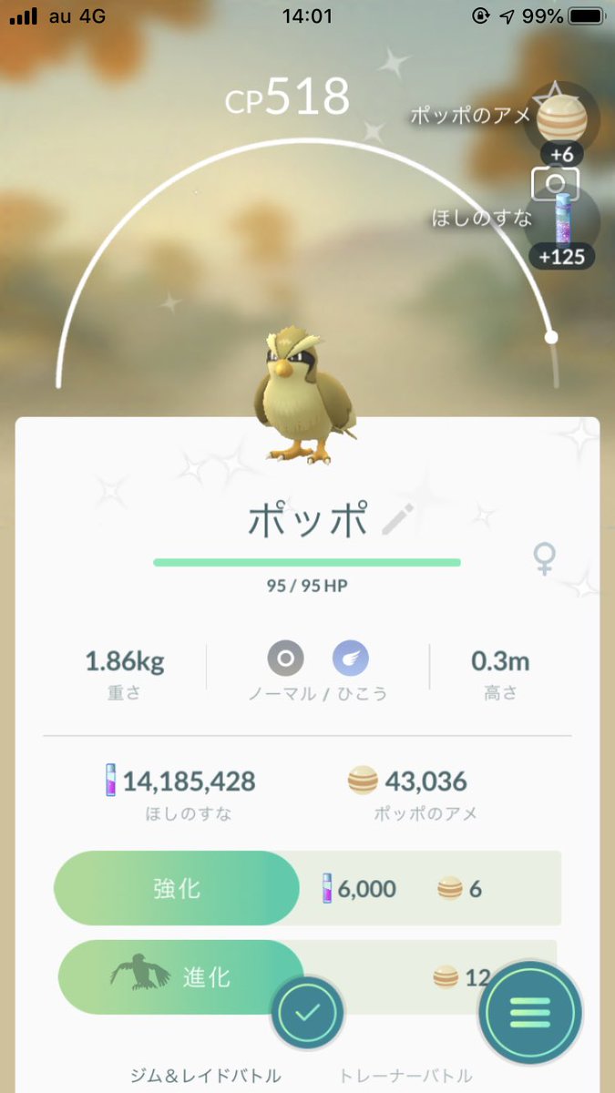 ポッポ色違い
