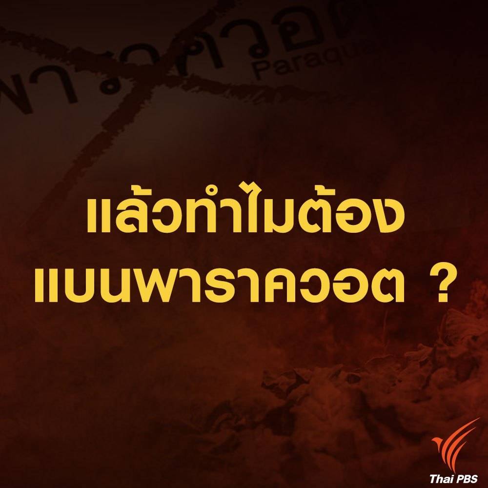 ThaiPBSNews's tweet photo. พาราควอต คืออะไร ? ทำไม 53 ประเทศทั่วโลกต้องสั่งแบน

#ชี้ชะตาสารเคมีเกษตร #ThaiPBSnews https://t.co/3Y6Pkhngzs