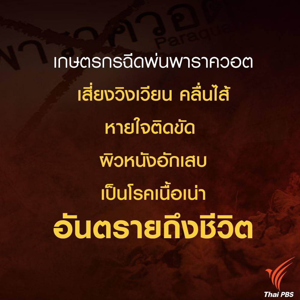 ThaiPBSNews's tweet photo. พาราควอต คืออะไร ? ทำไม 53 ประเทศทั่วโลกต้องสั่งแบน

#ชี้ชะตาสารเคมีเกษตร #ThaiPBSnews https://t.co/3Y6Pkhngzs