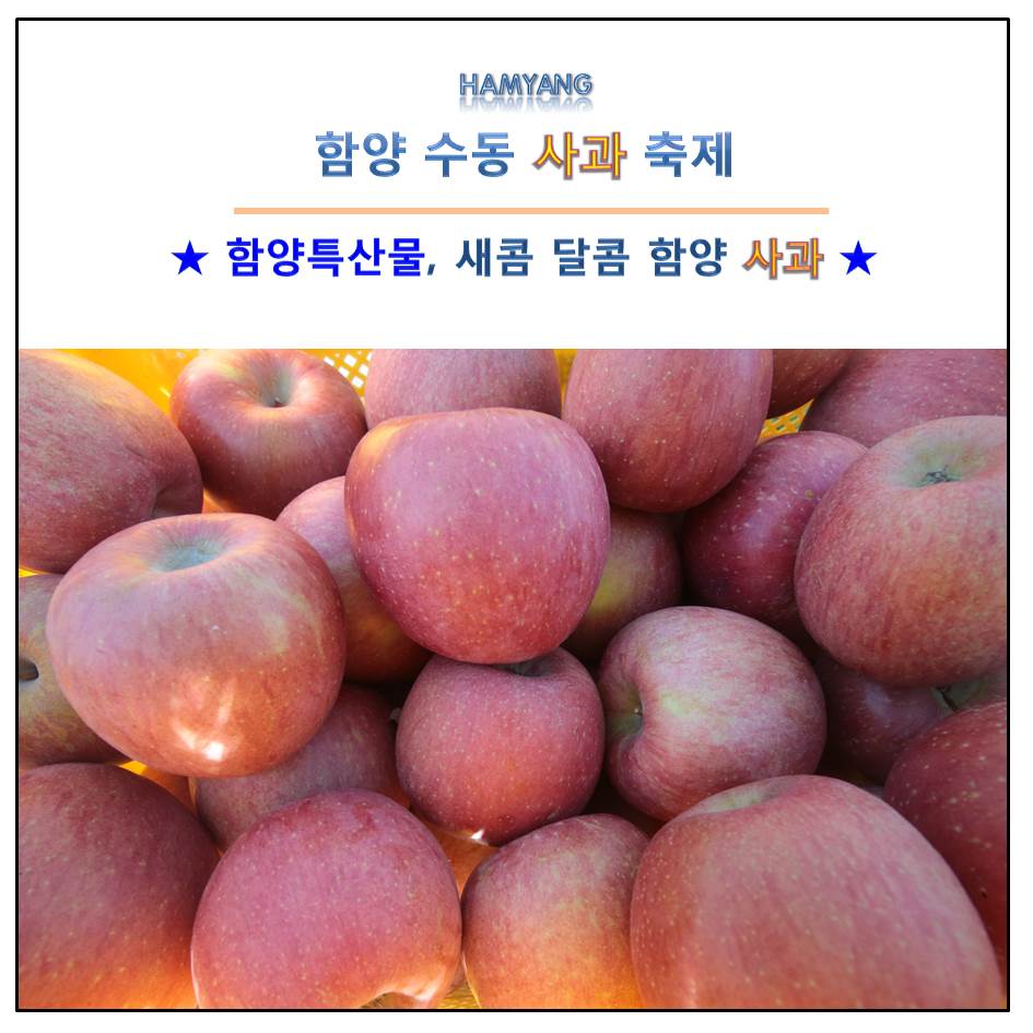 hygntwt's tweet photo. ☆함양특산물, 새콤달콤 함양 사과☆
일교차가 심한 지리산 자락에서 생산되는 함양사과!!

2019.10.26(토)~27(일)에는
수동 사과 축제도 열리니 맛보러 오세요~
-장소: 함양군 수동면 도북마을(수동면 도북리 637번지)

#함양 #함양사과 #새콤달콤 #아삭아삭 #수동사과축제 #잘익은 #IAMAHAMYANGAPPLE https://t.co/N6YLtptQEC