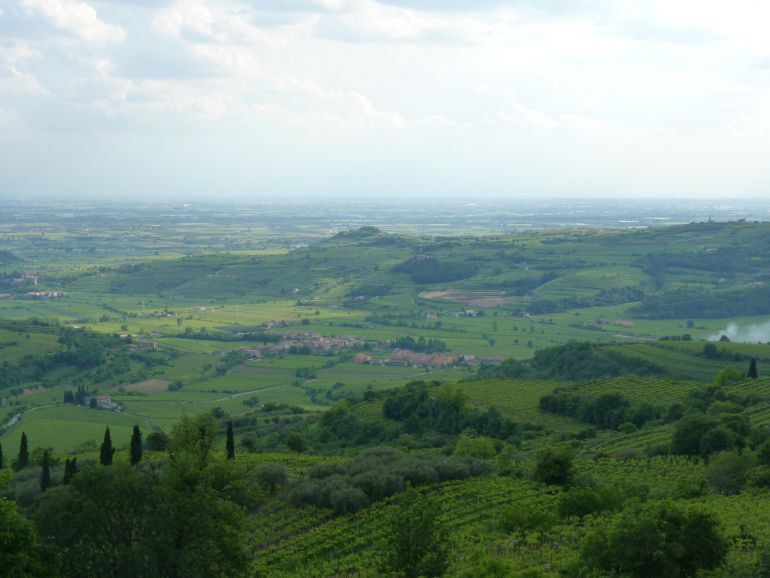 vinoecibo tweet media