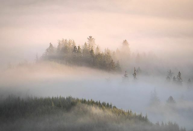 Last week I packed the fam in the GX and we headed for the coast for #OutOfOregon conference. I was honored to attend as an instructor to help my peers make better pictures and have a great time doing it. We definitely had fun and introduced them to an a… ift.tt/31xaN8B
