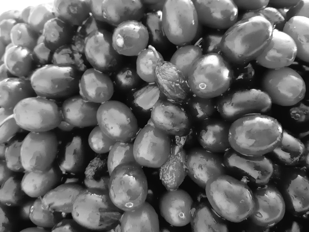 OccupyUN's tweet image. Only reloading #Kernals would allow worlds of words of wanderings of wanderers. Clearing minds clear is the .... .. . . .... .. . . .... .. . . .... .. . . ..... .. . . ...... .. . . Green mixed .  Sulked Sullivan  ņń ⁹⅜ ⅞⅞⁸⁸ņń top is both, the top and the bottom however