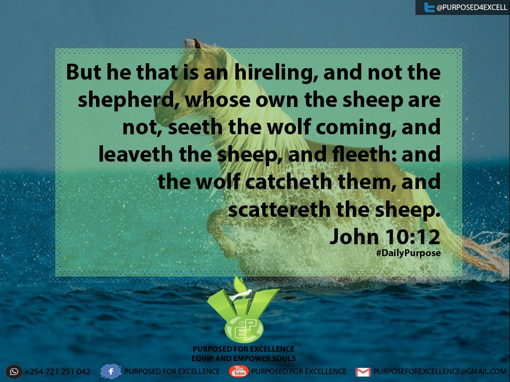 #goodmorning #DailyPurpose <a href="/MogulShalom/">Shalom the mogul</a> <a href="/BrianMalumbe1/">Brian Malumbe</a> @K_hachingson