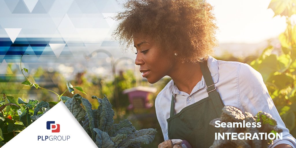 PLP Group tweet media