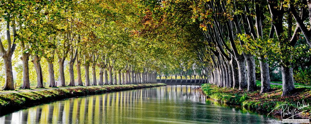 Promomidi_Immo's tweet photo. Le Canal du Midi, un patrimoine naturel inestimable que #Promomidi s'évertue à préserver dans le cadre d'une action durable de mécénat ☘☘
➡ https://t.co/xMY3ftJYpw https://t.co/az8lakko32