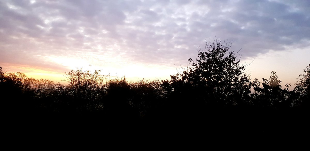 IanMiddletonX's tweet photo. Morning views in Oxfordshire. These are the spaces we have to fight to protect from the #ConcretingConservatives https://t.co/pCPdlhFRw8