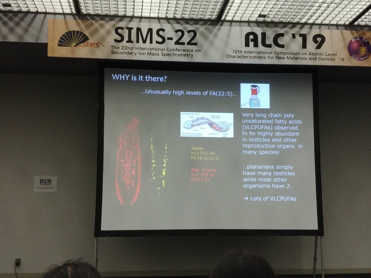ragha_te's tweet photo. Today I learnt from @TiniPinsel that a flatworm has more than 50 testicles! #SIMS22 #Kyoto #Japan https://t.co/QzhFy8E4wA