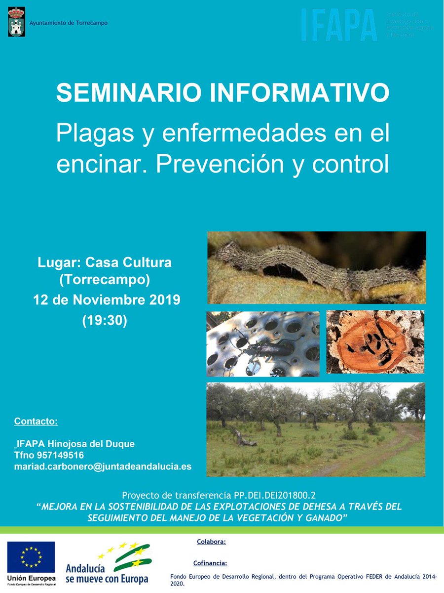 eldehesafio's tweet photo. El próximo mes de noviembre tendrán lugar varias charlas sobre la seca y plagas del encinar. Aquí te dejamos toda la información sobre los seminarios que tendrán lugar en distintas localidades de nuestra comarca. Apunta las fechas para no perderte nada. https://t.co/KJOuWSkgQN