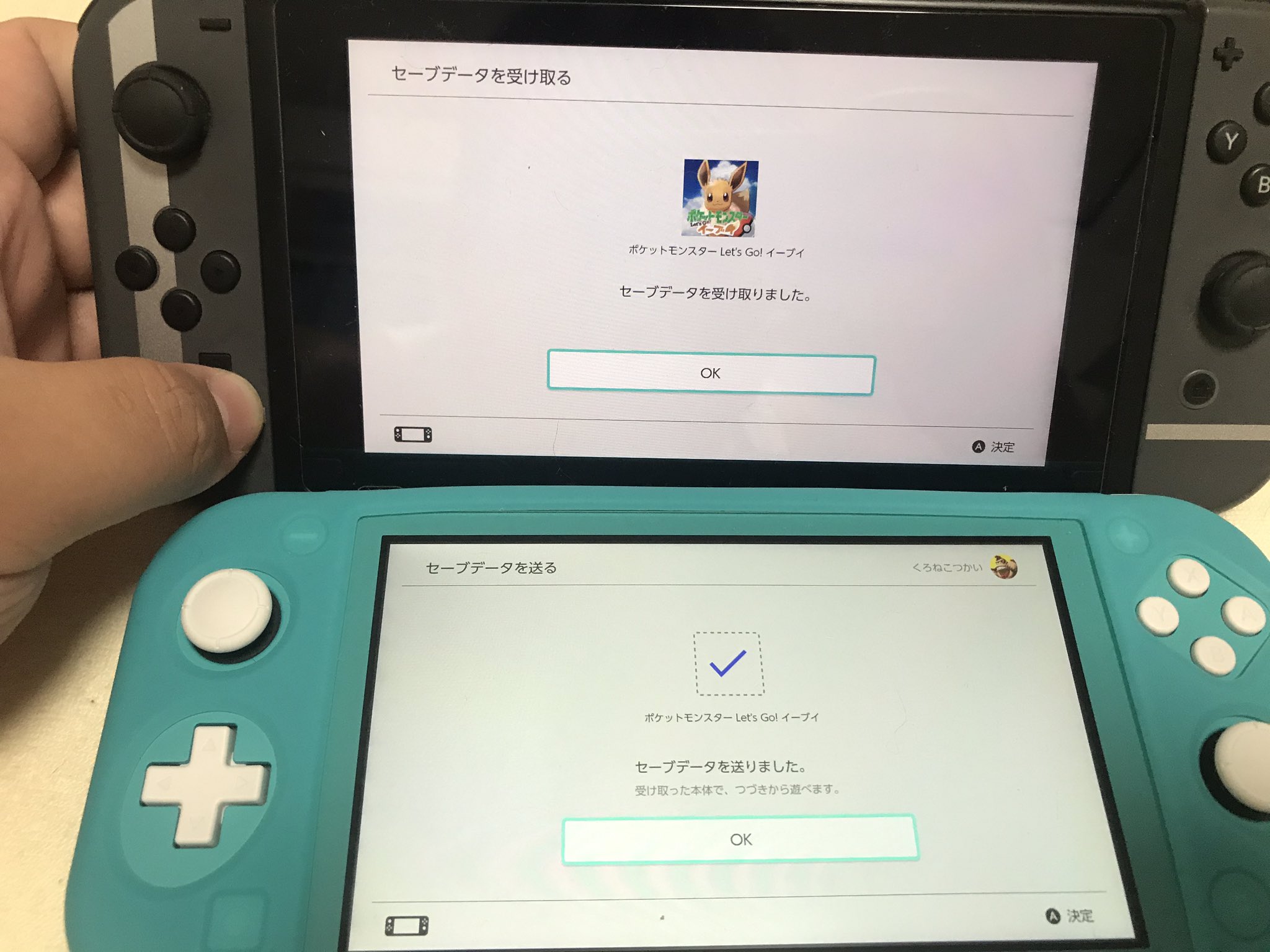 黒猫使いの鈴木 既婚 本体が2つある場合3dsのパッケージ版の仕様と大きく違うので判り難いと言う方が正確です Nintendoswitch セーブデータはカートリッジではなく本体もしくはsdカードに保存されます カートリッジを抜き差しても