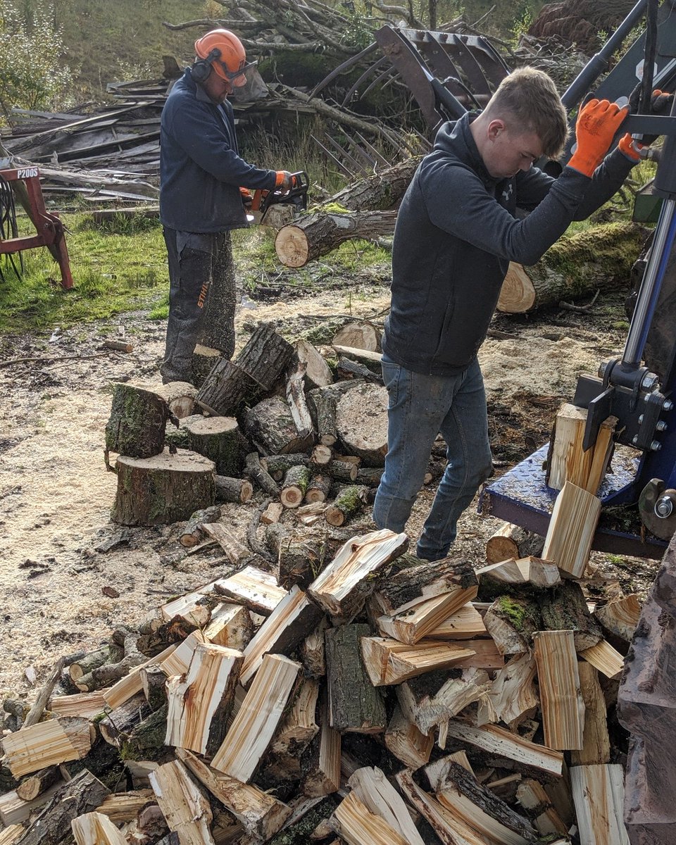 WholehouseFarm's tweet photo. Finally getting round to cutting a mountain of wood to keep the #wholehouseteam warm. 
.
.
.
#firewood https://t.co/T4AGcbcC1P