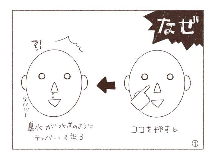 今回、人体の謎症状があって興味深かったので記しておこう…鼻が壊れた蛇口みたいになってました。何が辛かったって鼻がやられた事で味覚が全くなくなった時ですね…本当に砂を噛んでるようで、食い意地の鬼としては地獄でした…味覚が戻った後に食… 