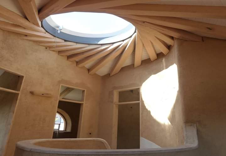 🗣 Actualmente, nos encontramos desarrollando nuevos productos a base de #hongos para la #construcción. La #bioconstrucción con materiales #fúngicos es uno de nuestros retos para dar cobertura a aquellas empresas que se planteen la implementación de estos productos en su oferta