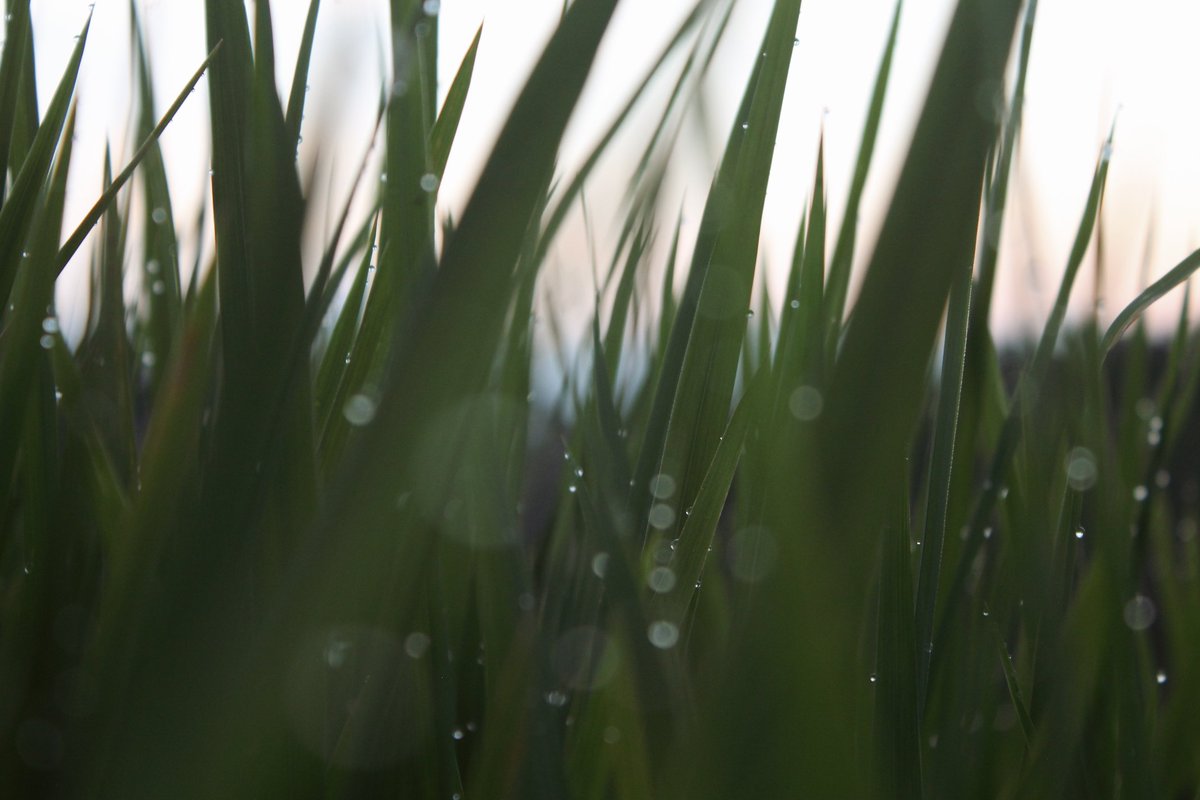 Sudarwanto (@sudarwanto2013) on Twitter photo 