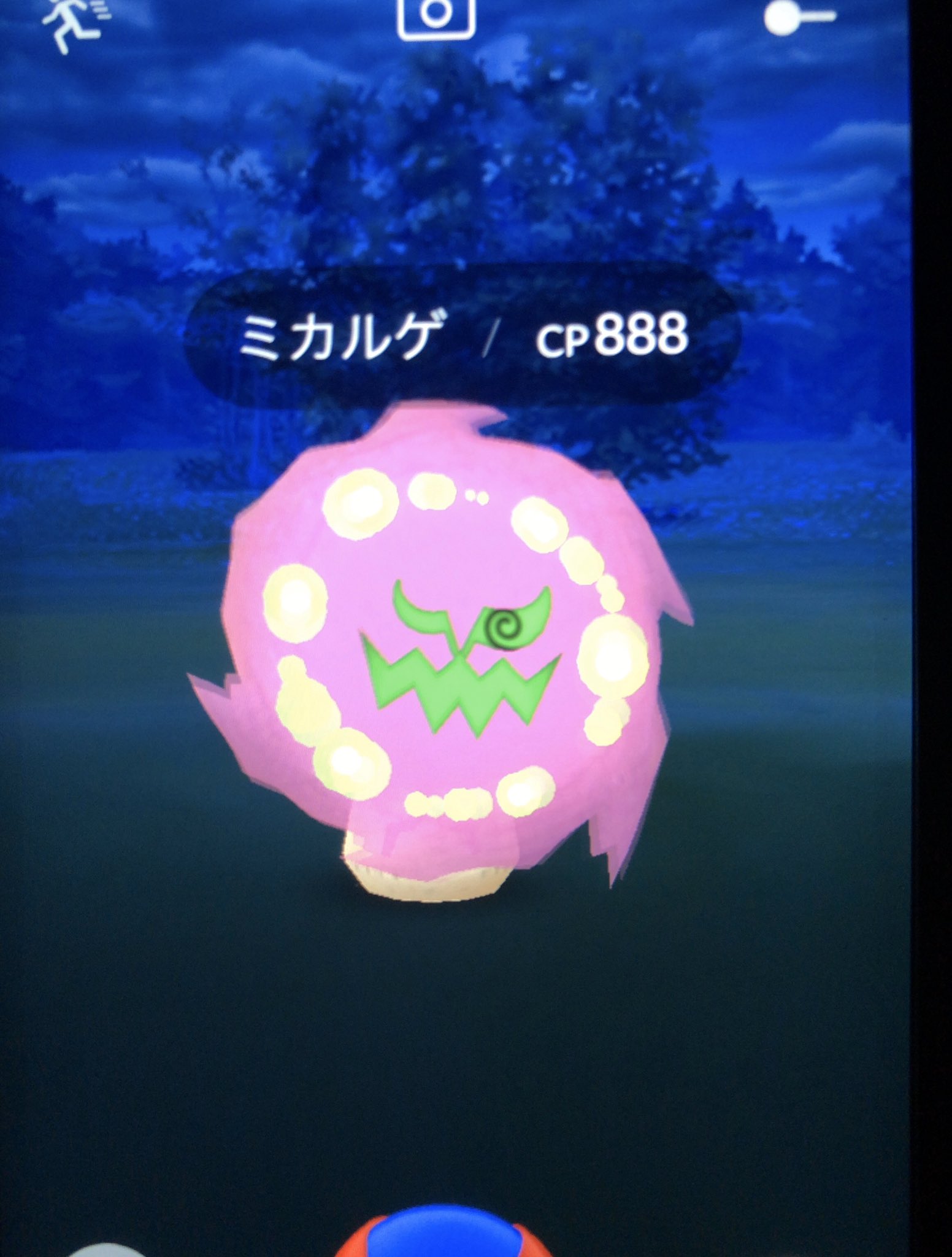 とおる ポケモンgo Pokego11toru Twitter